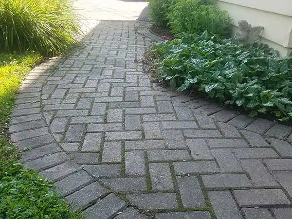 BA - Restoration before
