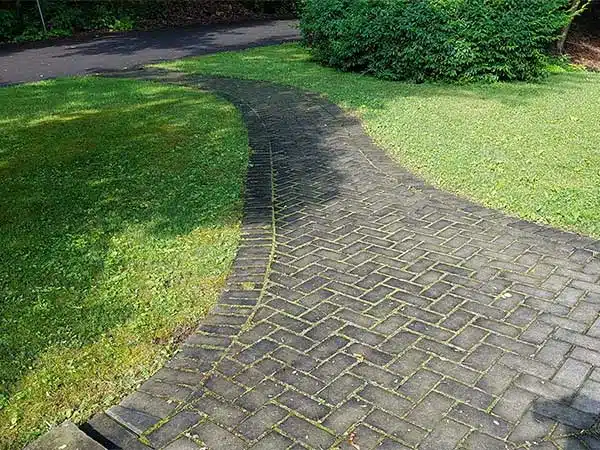 BA - Restoration before