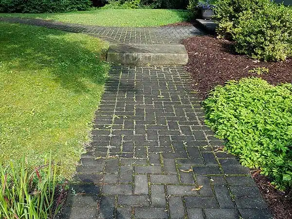 BA - Restoration before