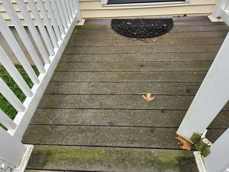 Fence and Deck Cleaning before