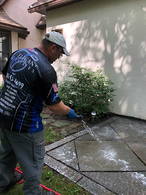 Eco-Guard Treatment in Locke