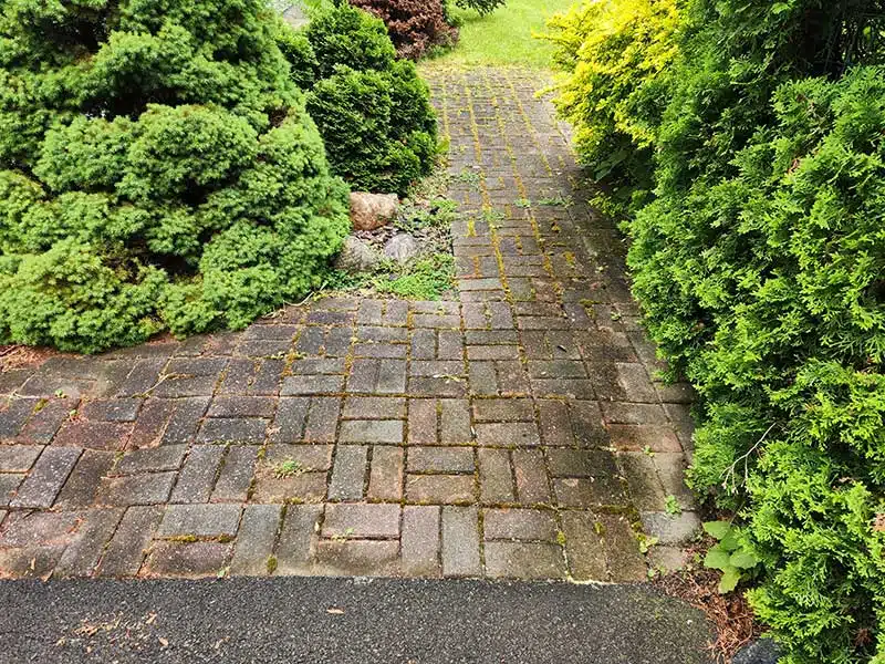 Paver Restoration before