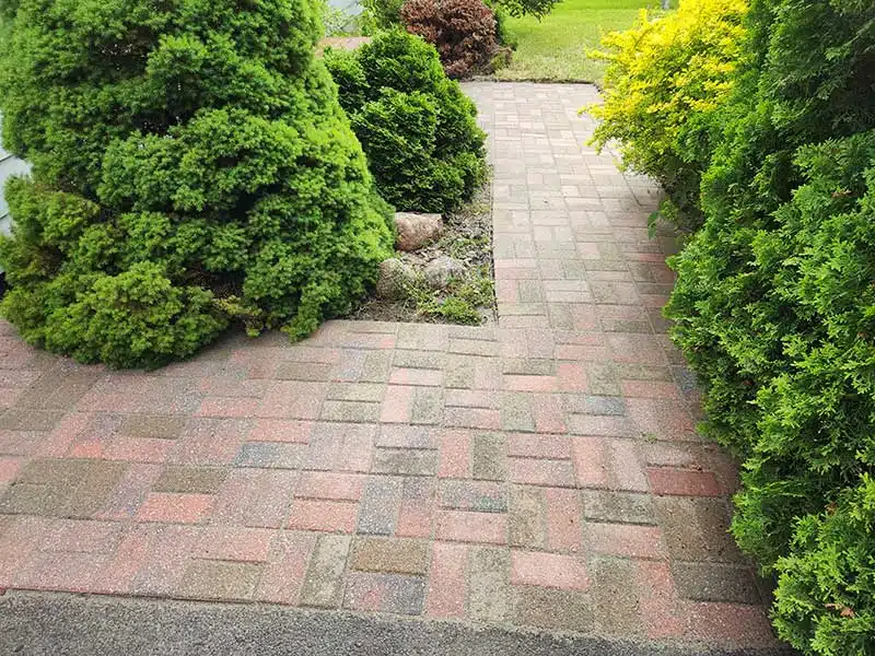 Paver Restoration after