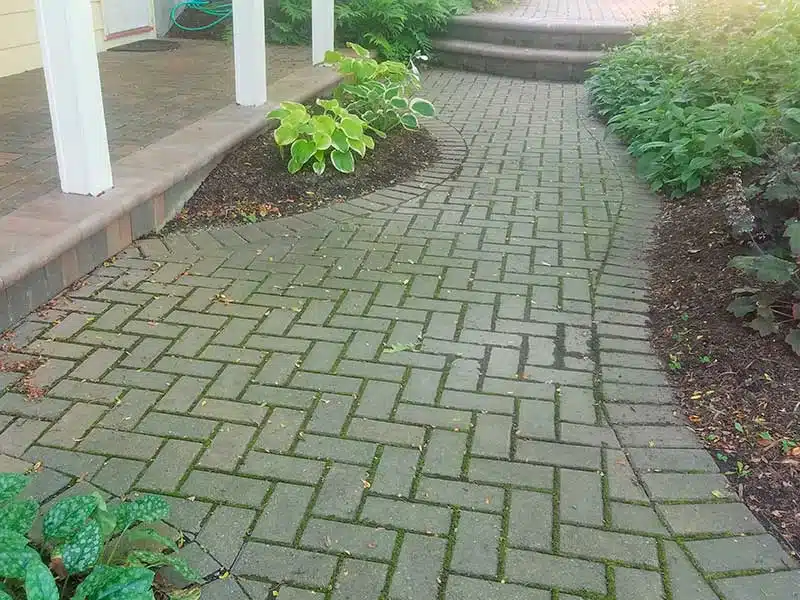 Paver Restoration before