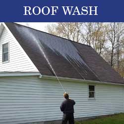 Roof Wash